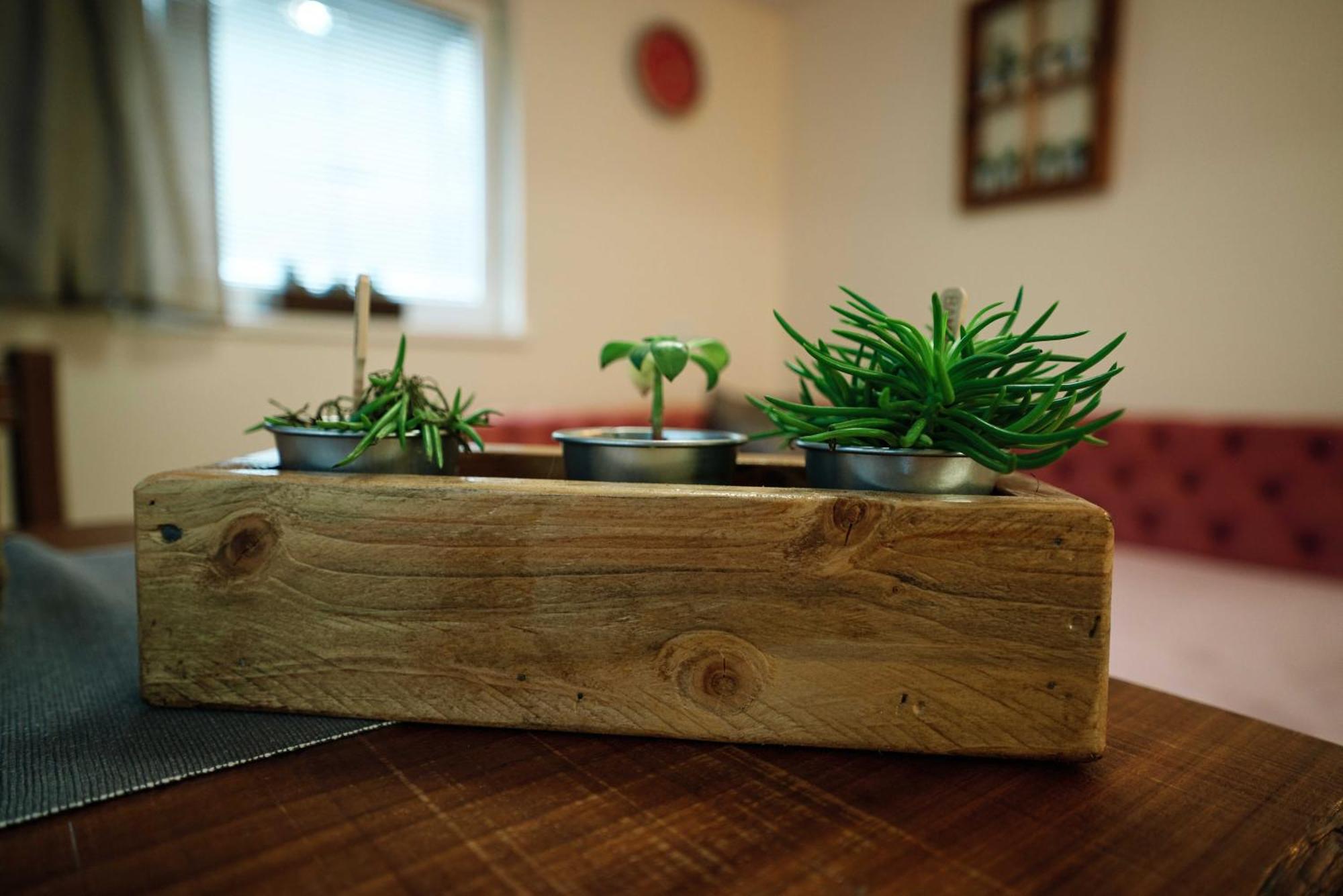 Apartment Hanny Laško Екстериор снимка